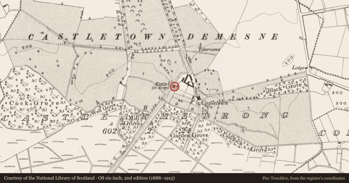 Ordnance Survey six-inch map, 2nd edition (1888–1915) covering the location of House - fortified house, Castlearmstrong, County Offaly, with a pin at the register's coordinates
