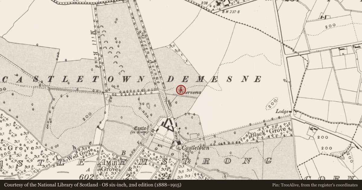 Ordnance Survey six-inch map, 2nd edition (1888–1915) covering the location of Ritual site - holy well, Castlearmstrong, County Offaly, with a pin at the register's coordinates