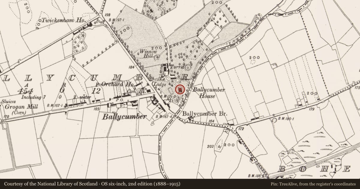 Ordnance Survey six-inch map, 2nd edition (1888–1915) covering the location of Castle - unclassified, Ballycumber, County Offaly, with a pin at the register's coordinates