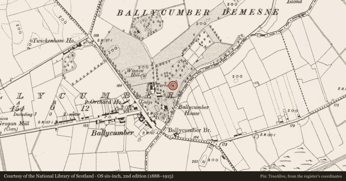 Ordnance Survey six-inch map, 2nd edition (1888–1915) covering the location of Castle - motte, Ballycumber, County Offaly, with a pin at the register's coordinates