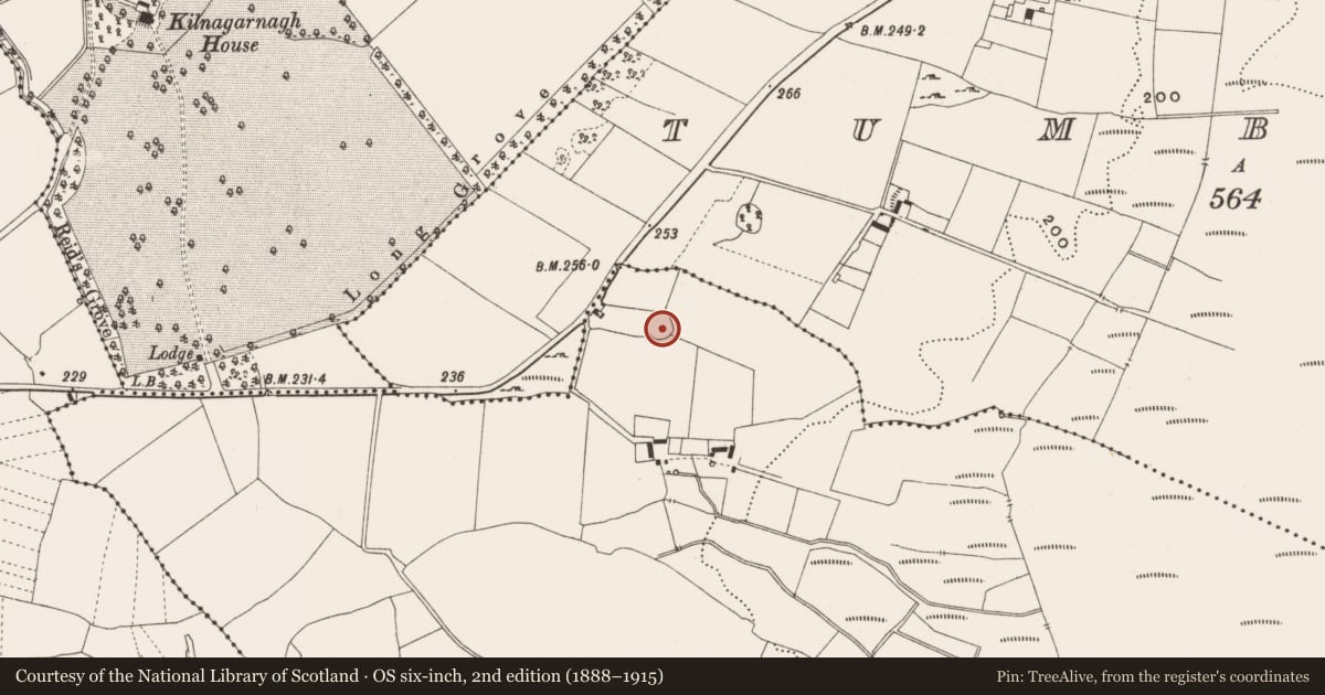 Ordnance Survey six-inch map, 2nd edition (1888–1915) covering the location of Ringfort - cashel, Kilnagoolny, County Offaly, with a pin at the register's coordinates