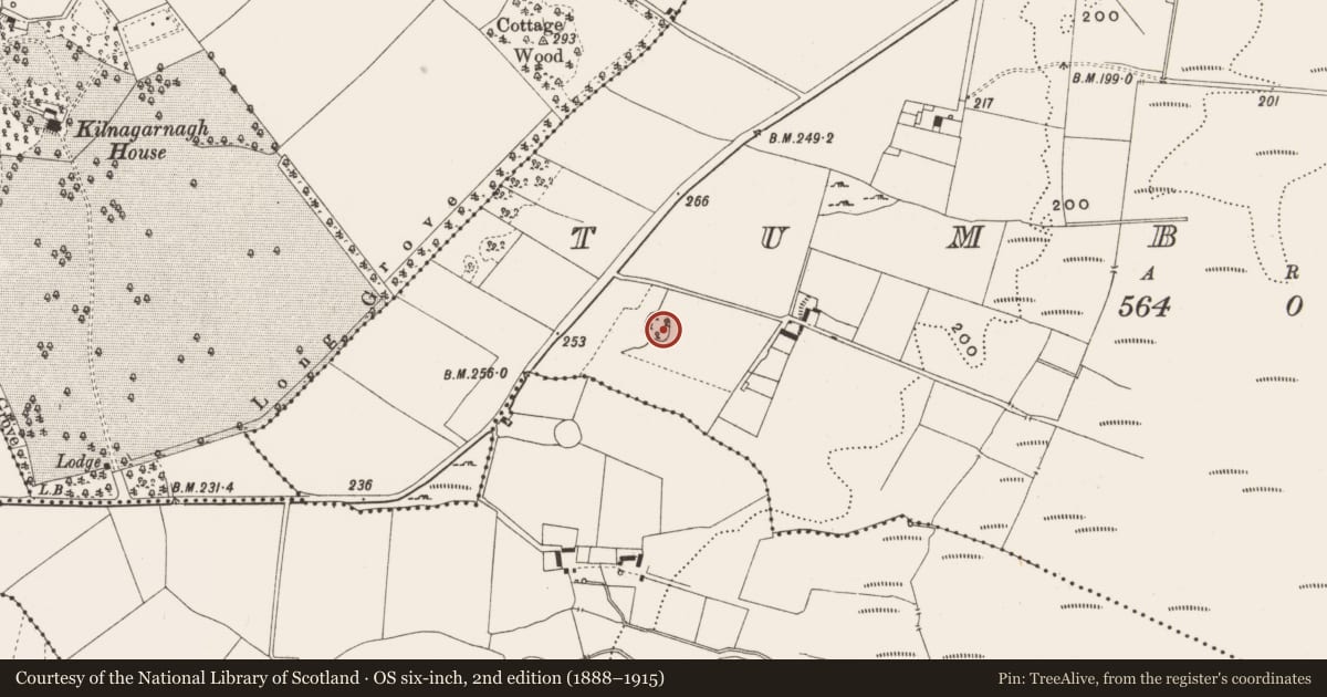 Ordnance Survey six-inch map, 2nd edition (1888–1915) covering the location of Ringfort - rath, Tumbeagh, County Offaly, with a pin at the register's coordinates