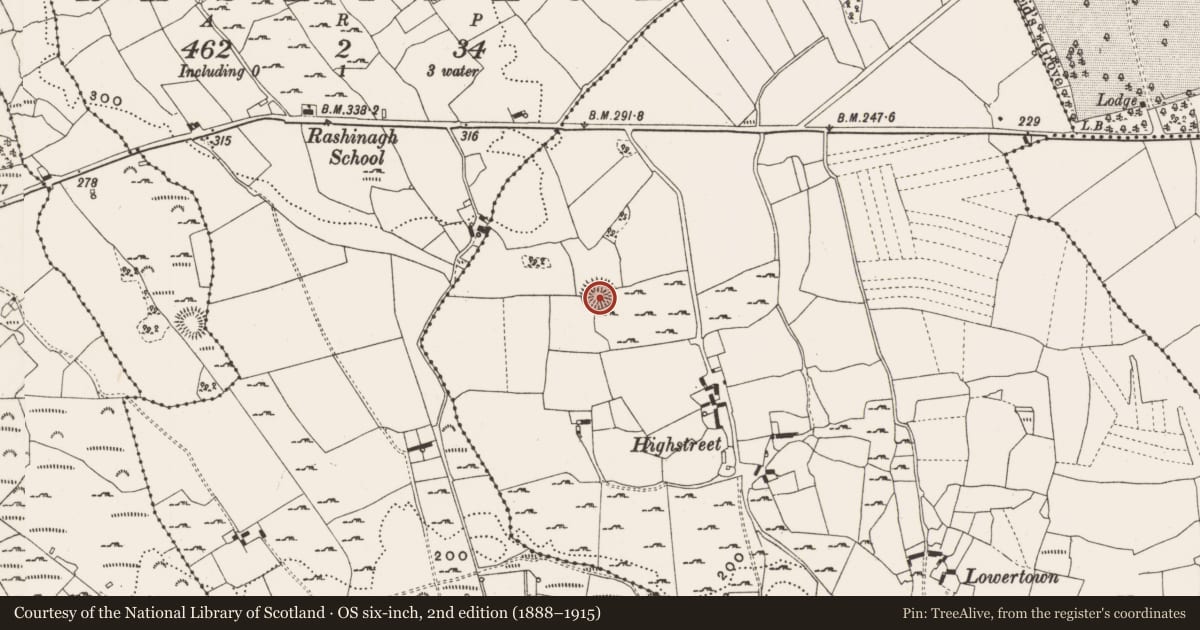 Ordnance Survey six-inch map, 2nd edition (1888–1915) covering the location of Ringfort - cashel, Straduff, County Offaly, with a pin at the register's coordinates