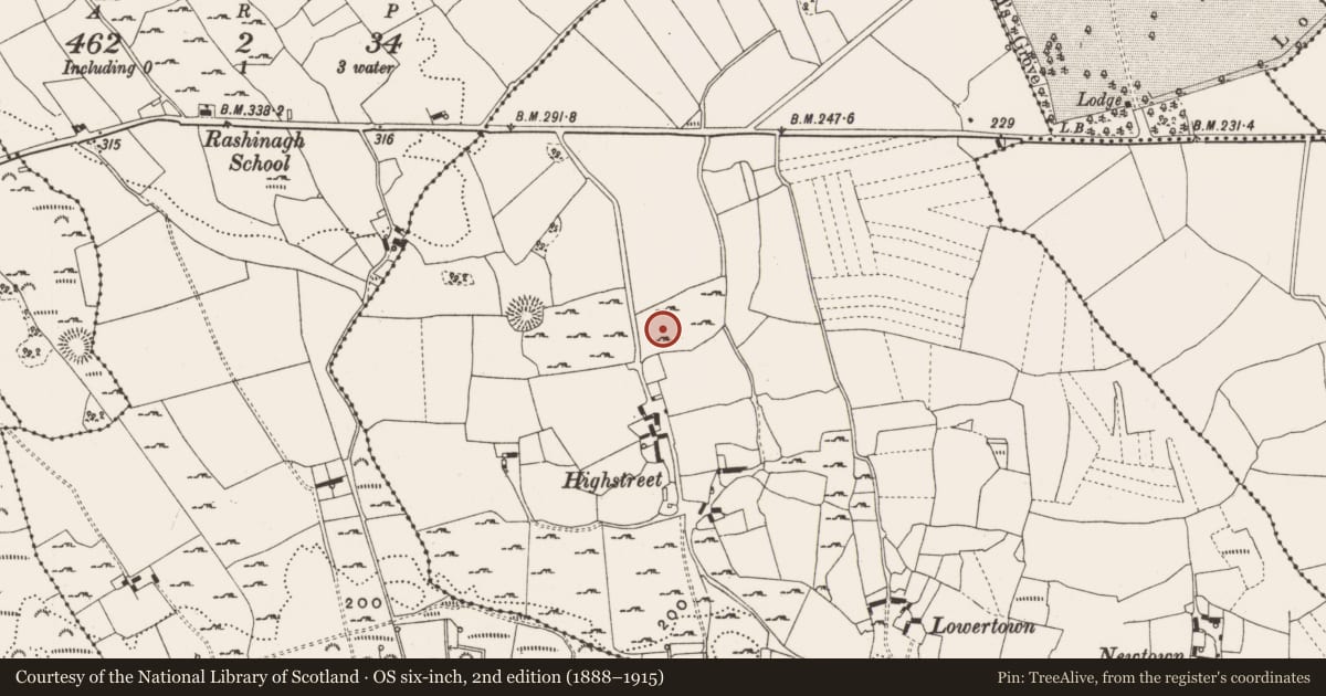 Ordnance Survey six-inch map, 2nd edition (1888–1915) covering the location of Designed landscape - tree-ring, Straduff, County Offaly, with a pin at the register's coordinates