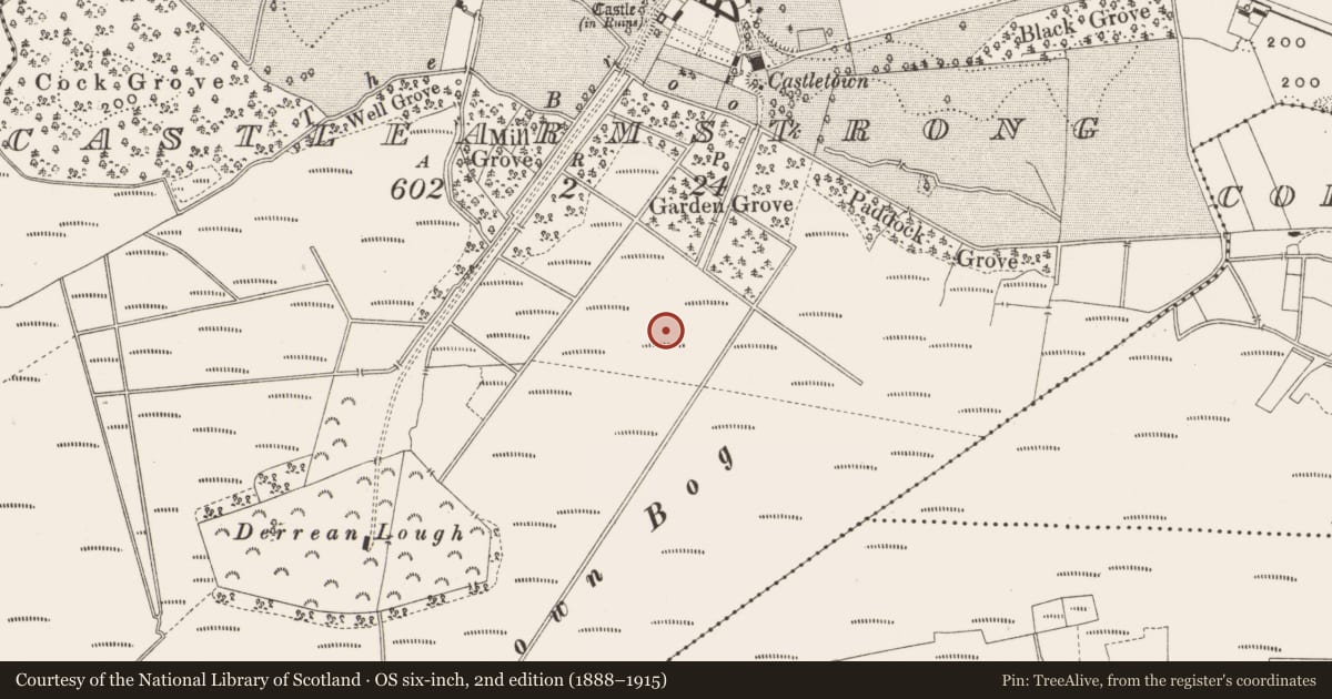 Ordnance Survey six-inch map, 2nd edition (1888–1915) covering the location of Enclosure, Castlearmstrong, County Offaly, with a pin at the register's coordinates