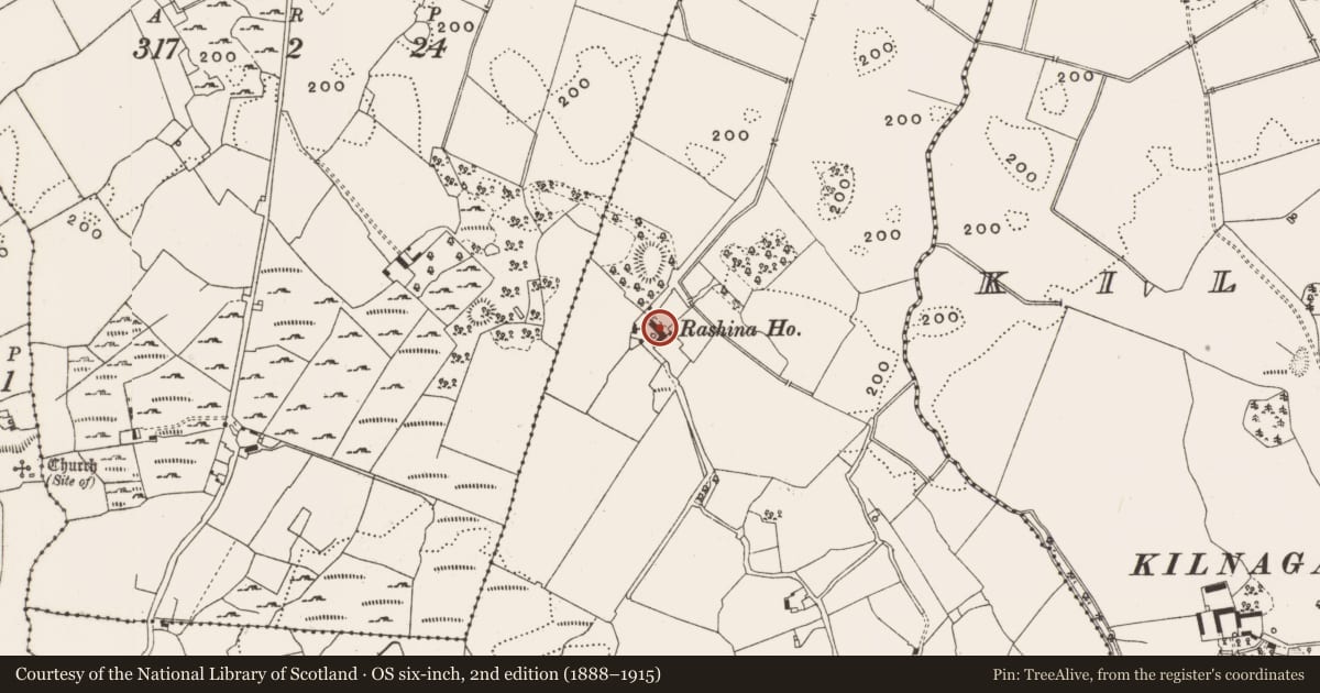Ordnance Survey six-inch map, 2nd edition (1888–1915) covering the location of Castle - unclassified, Rashinagh, County Offaly, with a pin at the register's coordinates