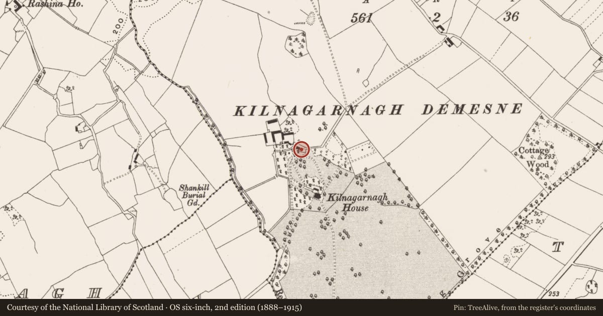 Ordnance Survey six-inch map, 2nd edition (1888–1915) covering the location of Castle - unclassified, Kilnagarnagh, County Offaly, with a pin at the register's coordinates