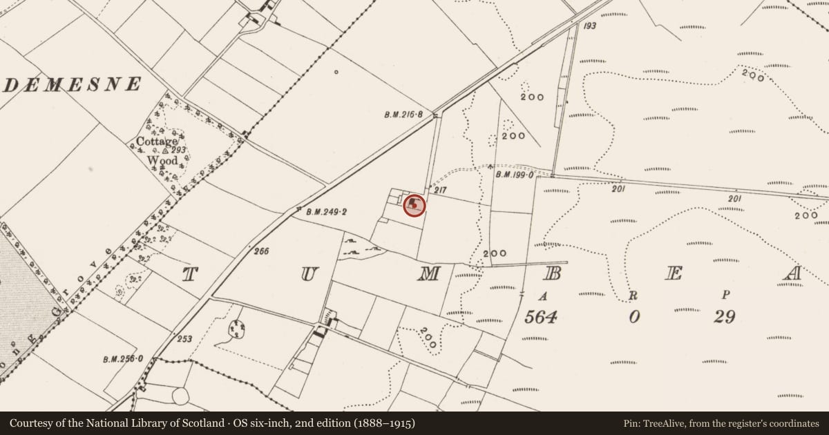 Ordnance Survey six-inch map, 2nd edition (1888–1915) covering the location of House - 17th century, Tumbeagh, County Offaly, with a pin at the register's coordinates