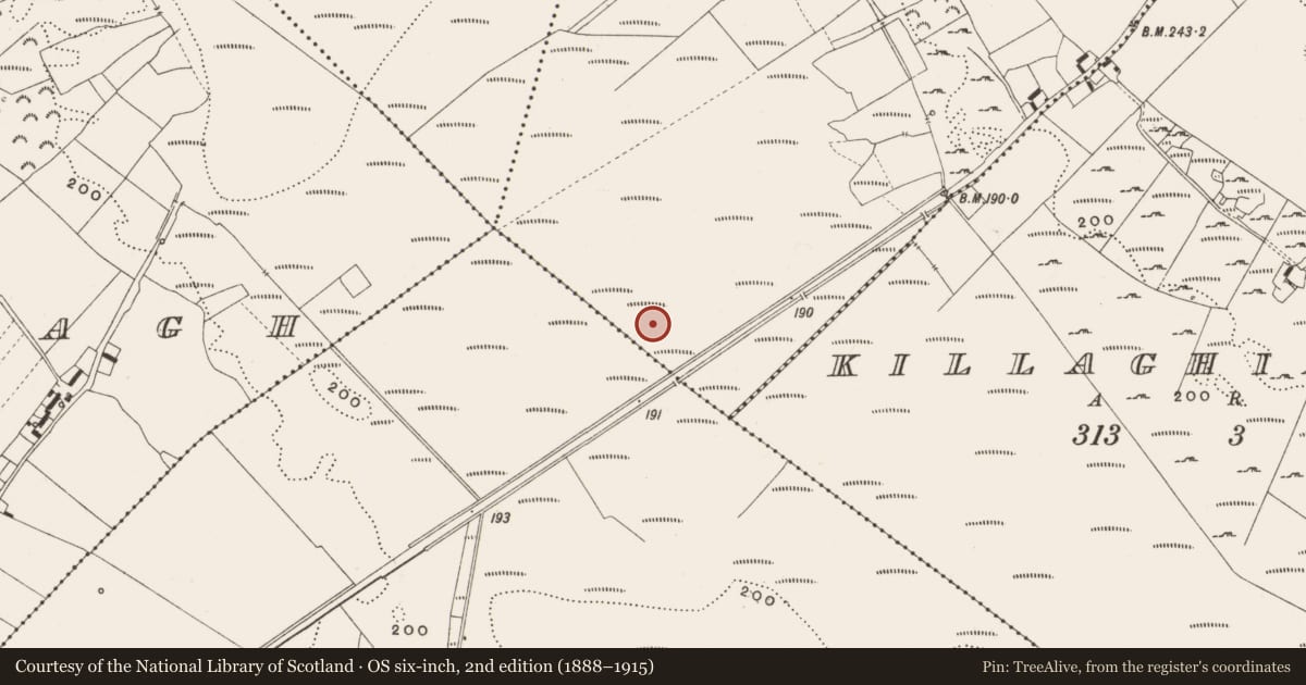 Ordnance Survey six-inch map, 2nd edition (1888–1915) covering the location of Structure - peatland, Cappanalosset, County Offaly, with a pin at the register's coordinates