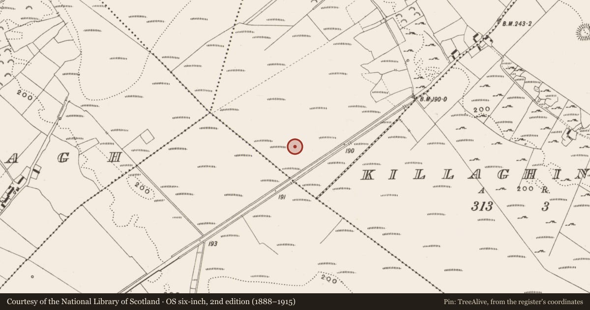 Ordnance Survey six-inch map, 2nd edition (1888–1915) covering the location of Structure - peatland, Cappanalosset, County Offaly, with a pin at the register's coordinates
