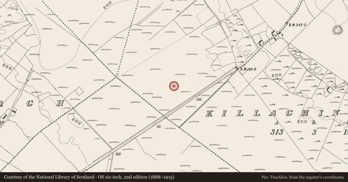Ordnance Survey six-inch map, 2nd edition (1888–1915) covering the location of Structure - peatland, Cappanalosset, County Offaly, with a pin at the register's coordinates