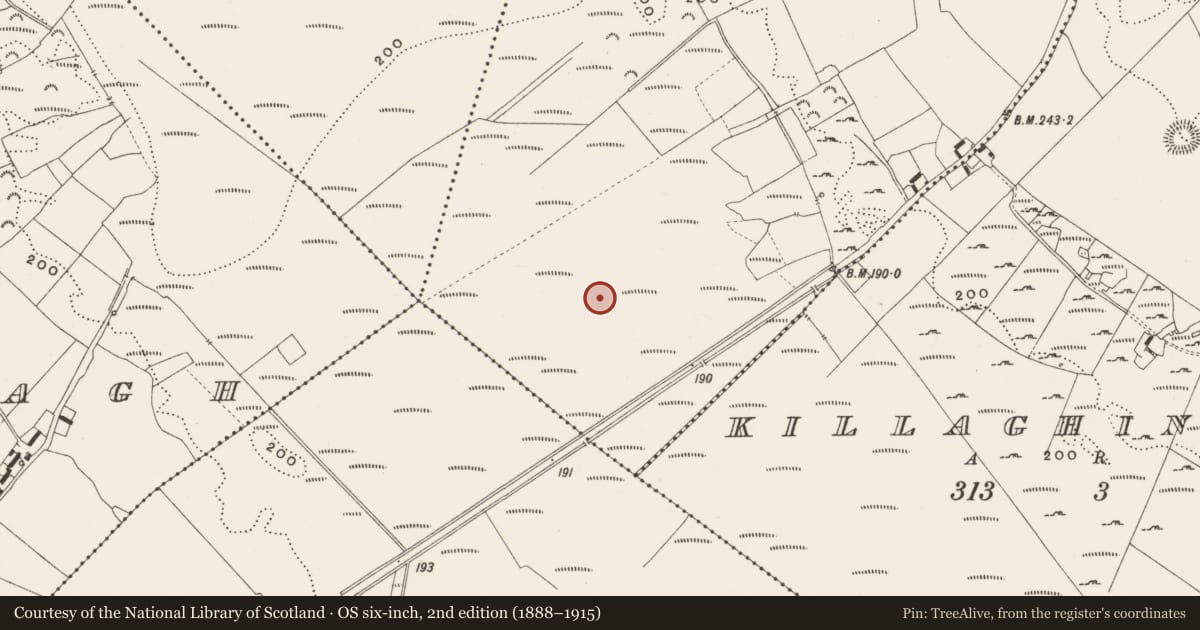 Ordnance Survey six-inch map, 2nd edition (1888–1915) covering the location of Structure - peatland, Cappanalosset, County Offaly, with a pin at the register's coordinates