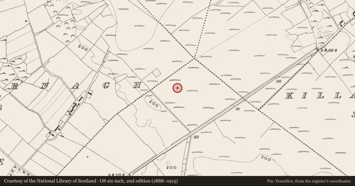 Ordnance Survey six-inch map, 2nd edition (1888–1915) covering the location of Structure - peatland, Tumbeagh, County Offaly, with a pin at the register's coordinates