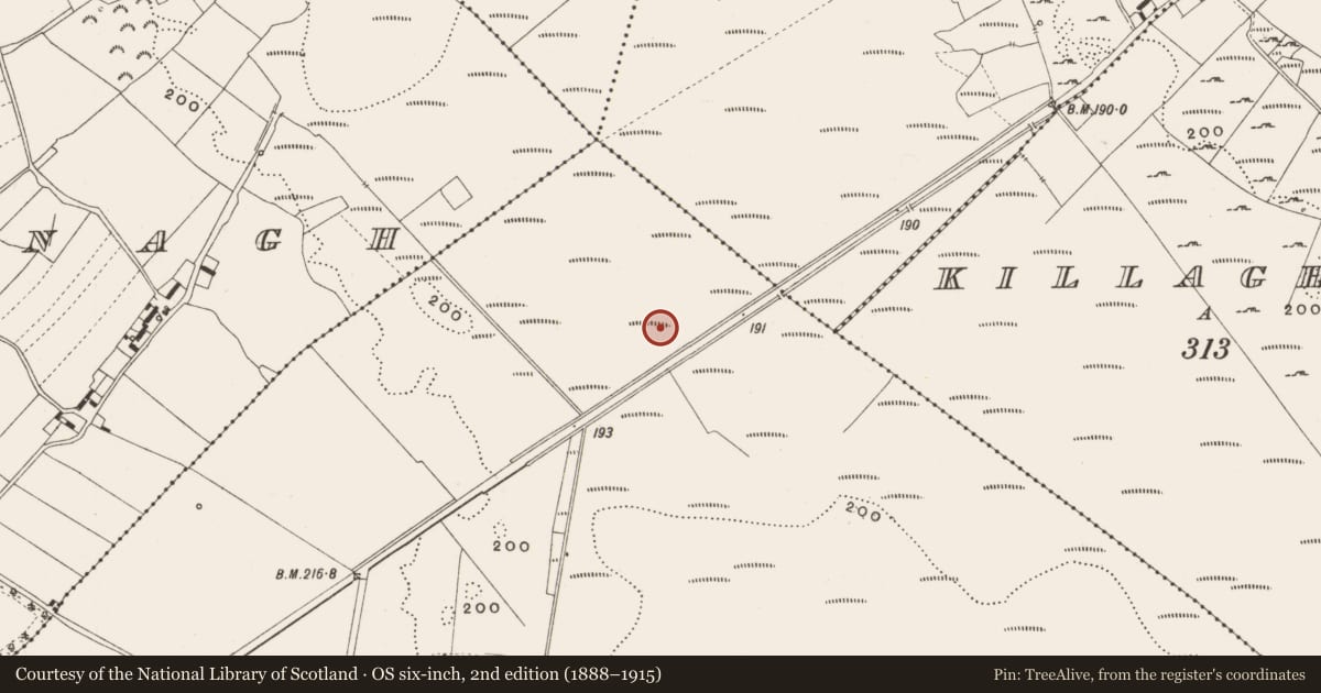 Ordnance Survey six-inch map, 2nd edition (1888–1915) covering the location of Structure - peatland, Tumbeagh, County Offaly, with a pin at the register's coordinates