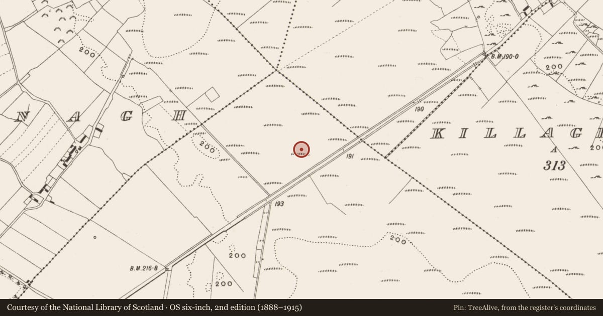 Ordnance Survey six-inch map, 2nd edition (1888–1915) covering the location of Structure - peatland, Tumbeagh, County Offaly, with a pin at the register's coordinates