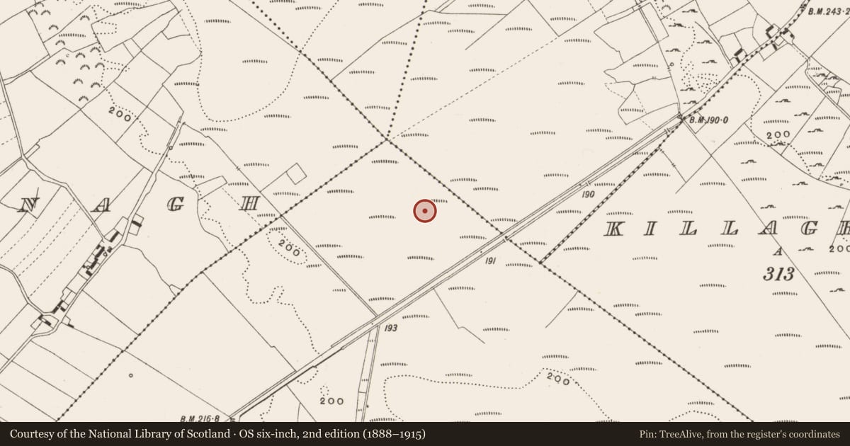 Ordnance Survey six-inch map, 2nd edition (1888–1915) covering the location of Structure - peatland, Tumbeagh, County Offaly, with a pin at the register's coordinates