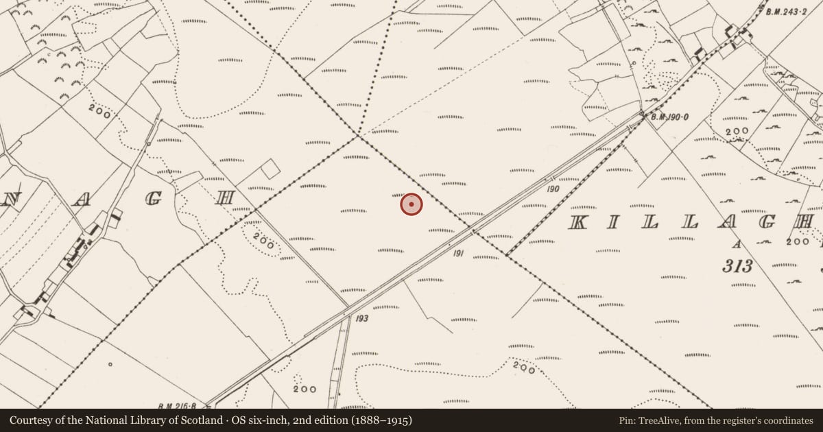 Ordnance Survey six-inch map, 2nd edition (1888–1915) covering the location of Road - class 2 togher, Tumbeagh, County Offaly, with a pin at the register's coordinates