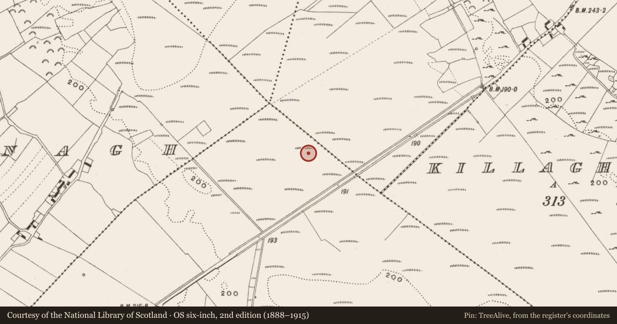 Ordnance Survey six-inch map, 2nd edition (1888–1915) covering the location of Road - class 2 togher, Tumbeagh, County Offaly, with a pin at the register's coordinates