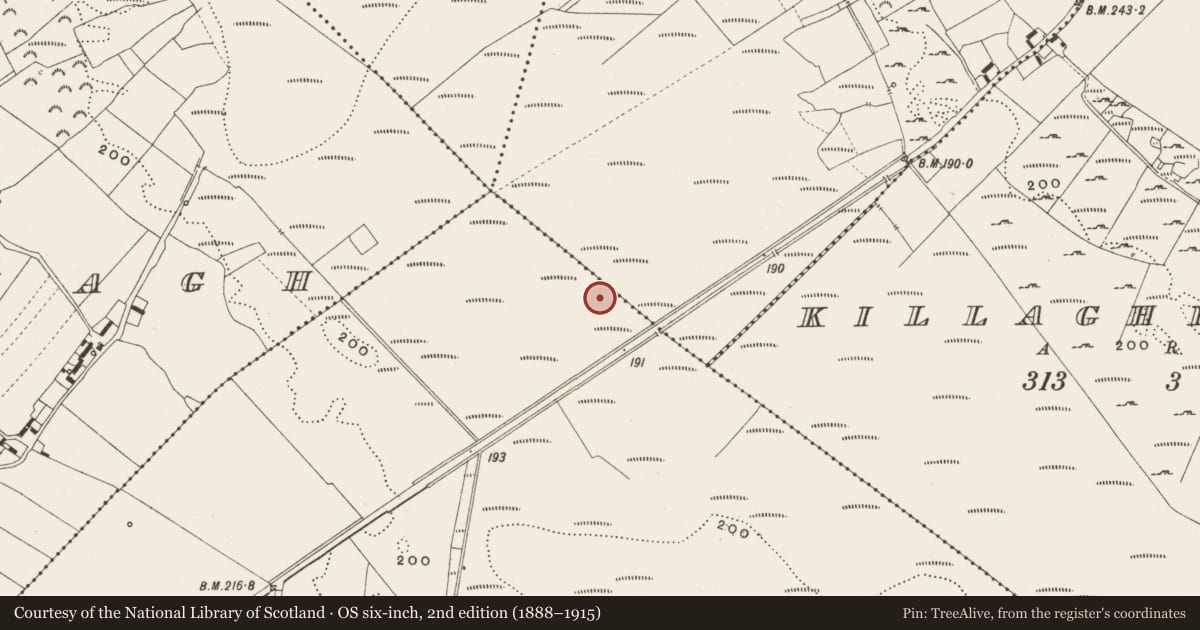 Ordnance Survey six-inch map, 2nd edition (1888–1915) covering the location of Structure - peatland, Tumbeagh, County Offaly, with a pin at the register's coordinates