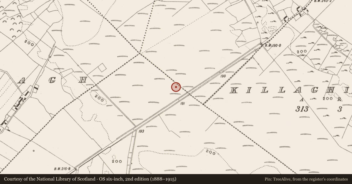 Ordnance Survey six-inch map, 2nd edition (1888–1915) covering the location of Structure - peatland, Tumbeagh, County Offaly, with a pin at the register's coordinates