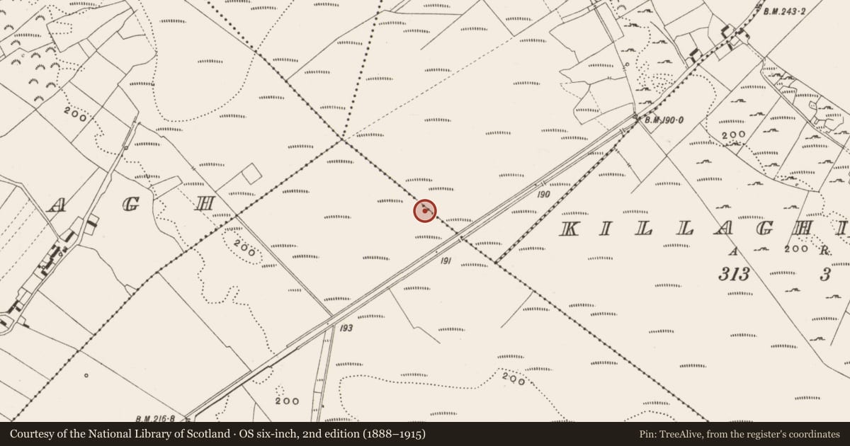 Ordnance Survey six-inch map, 2nd edition (1888–1915) covering the location of Structure - peatland, Tumbeagh, County Offaly, with a pin at the register's coordinates