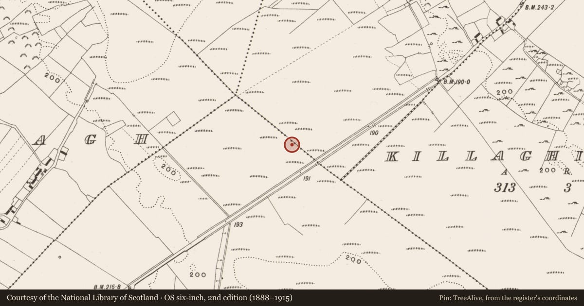 Ordnance Survey six-inch map, 2nd edition (1888–1915) covering the location of Road - class 1 togher, Cappanalosset, Tumbeagh, County Offaly, with a pin at the register's coordinates