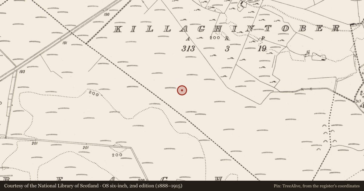 Ordnance Survey six-inch map, 2nd edition (1888–1915) covering the location of Structure - peatland, Killaghintober, County Offaly, with a pin at the register's coordinates