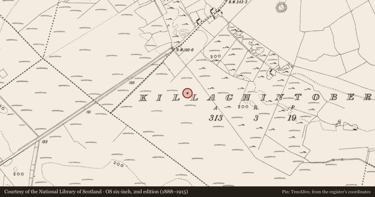 Ordnance Survey six-inch map, 2nd edition (1888–1915) covering the location of Road - class 2 togher, Killaghintober, County Offaly, with a pin at the register's coordinates