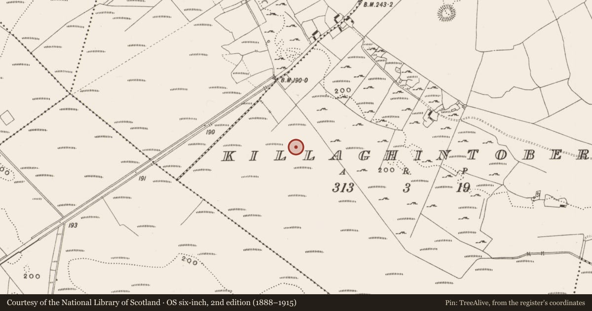 Ordnance Survey six-inch map, 2nd edition (1888–1915) covering the location of Road - class 3 togher, Killaghintober, County Offaly, with a pin at the register's coordinates