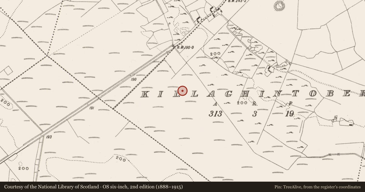 Ordnance Survey six-inch map, 2nd edition (1888–1915) covering the location of Structure - peatland, Killaghintober, County Offaly, with a pin at the register's coordinates