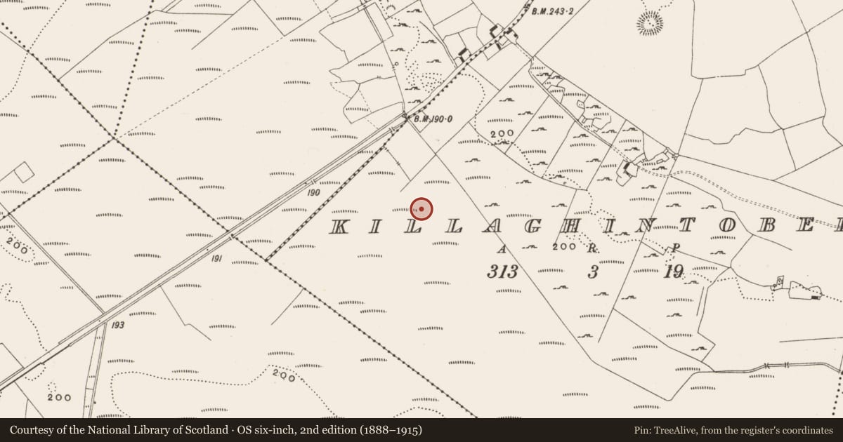 Ordnance Survey six-inch map, 2nd edition (1888–1915) covering the location of Structure - peatland, Killaghintober, County Offaly, with a pin at the register's coordinates