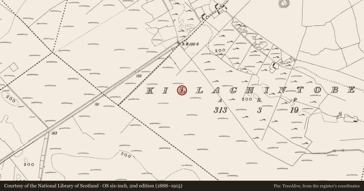 Ordnance Survey six-inch map, 2nd edition (1888–1915) covering the location of Road - class 2 togher, Killaghintober, County Offaly, with a pin at the register's coordinates