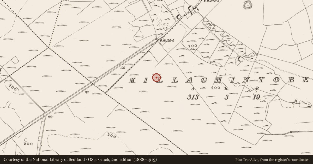 Ordnance Survey six-inch map, 2nd edition (1888–1915) covering the location of Structure - peatland, Killaghintober, County Offaly, with a pin at the register's coordinates