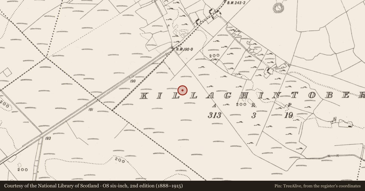 Ordnance Survey six-inch map, 2nd edition (1888–1915) covering the location of Structure - peatland, Killaghintober, County Offaly, with a pin at the register's coordinates