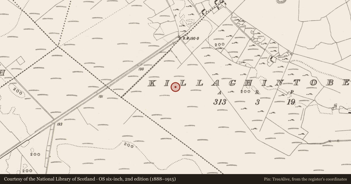 Ordnance Survey six-inch map, 2nd edition (1888–1915) covering the location of Road - class 2 togher, Killaghintober, County Offaly, with a pin at the register's coordinates