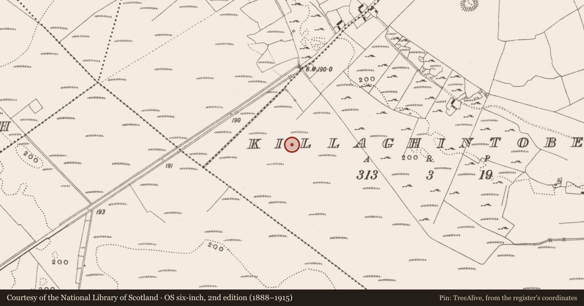 Ordnance Survey six-inch map, 2nd edition (1888–1915) covering the location of Structure - peatland, Killaghintober, County Offaly, with a pin at the register's coordinates