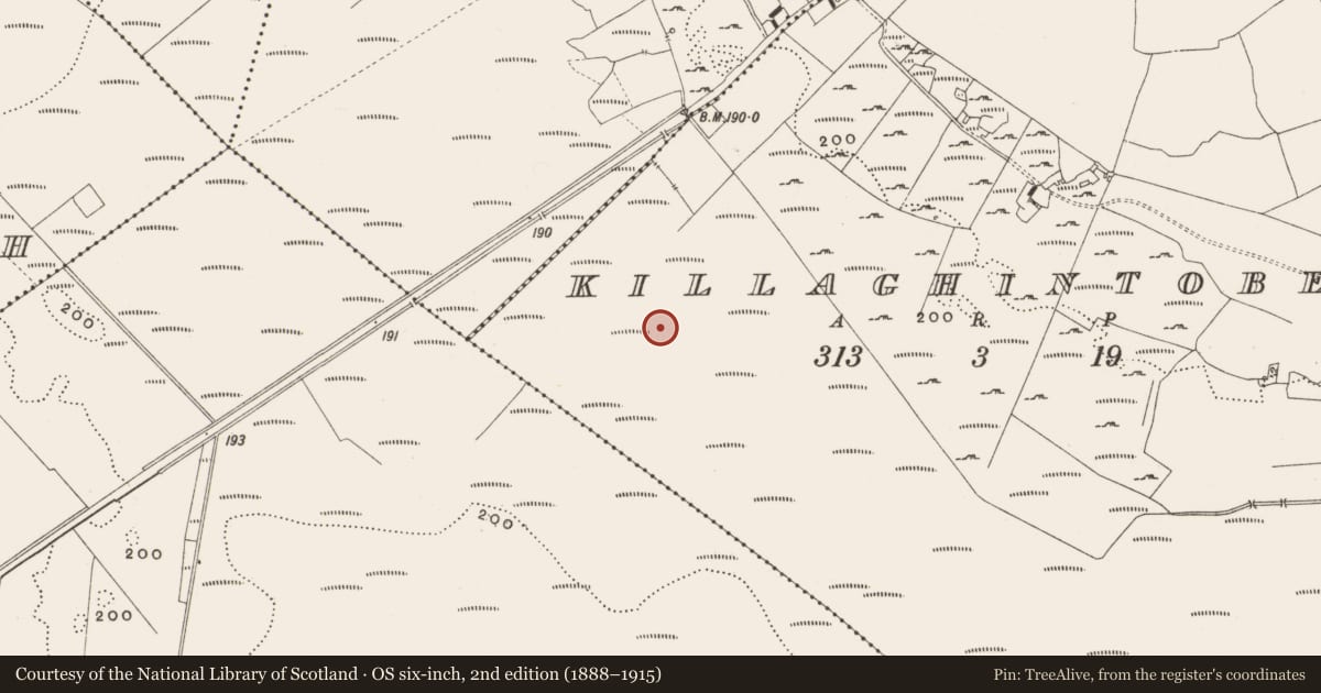 Ordnance Survey six-inch map, 2nd edition (1888–1915) covering the location of Structure - peatland, Killaghintober, County Offaly, with a pin at the register's coordinates