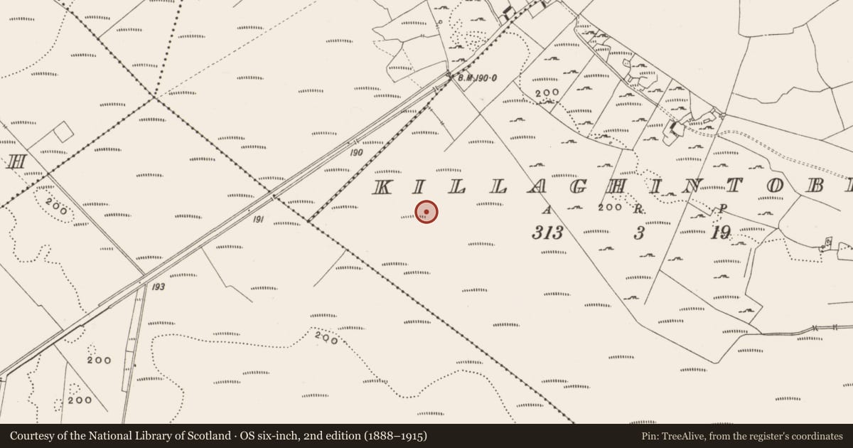 Ordnance Survey six-inch map, 2nd edition (1888–1915) covering the location of Structure - peatland, Killaghintober, County Offaly, with a pin at the register's coordinates