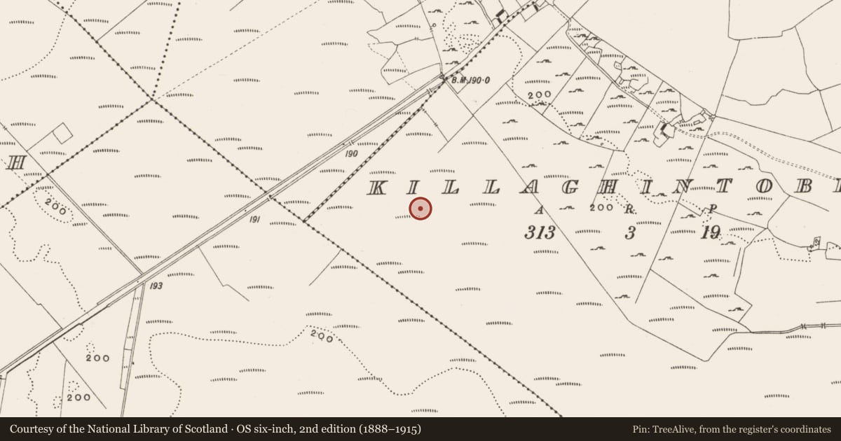 Ordnance Survey six-inch map, 2nd edition (1888–1915) covering the location of Structure - peatland, Killaghintober, County Offaly, with a pin at the register's coordinates