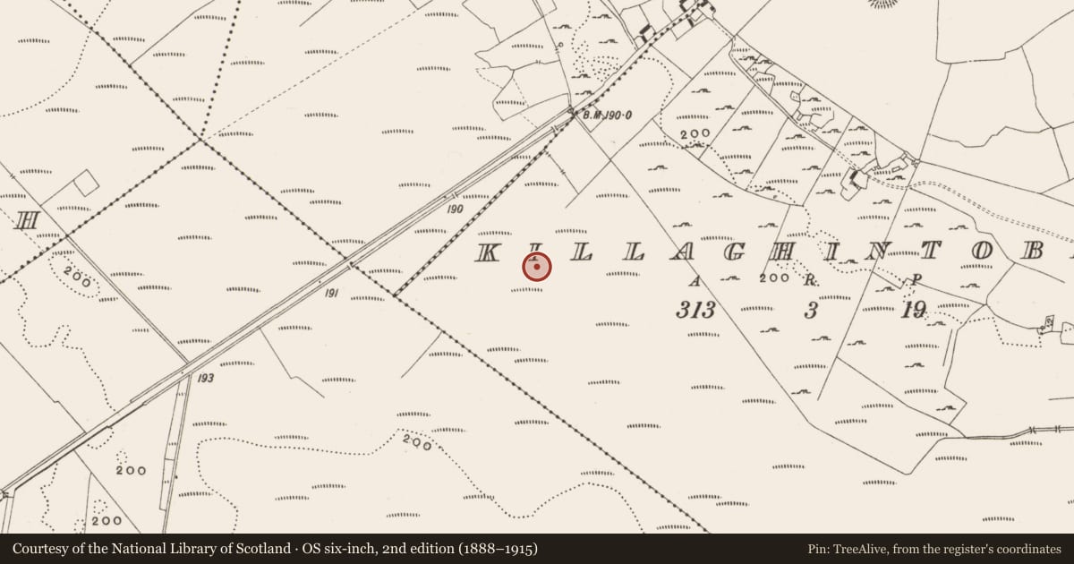 Ordnance Survey six-inch map, 2nd edition (1888–1915) covering the location of Structure - peatland, Killaghintober, County Offaly, with a pin at the register's coordinates