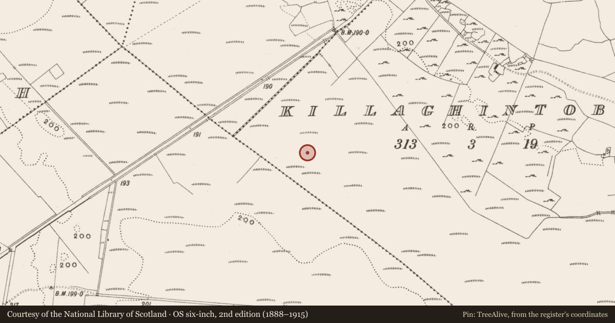 Ordnance Survey six-inch map, 2nd edition (1888–1915) covering the location of Structure - peatland, Killaghintober, County Offaly, with a pin at the register's coordinates