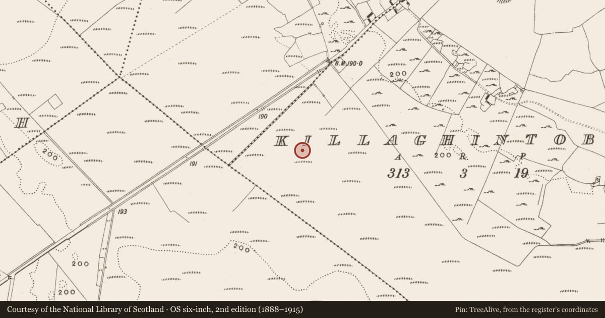 Ordnance Survey six-inch map, 2nd edition (1888–1915) covering the location of Structure - peatland, Killaghintober, County Offaly, with a pin at the register's coordinates