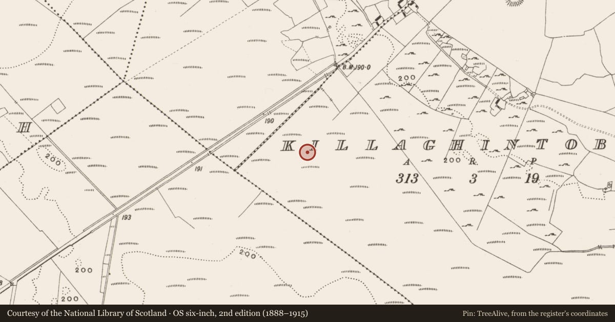 Ordnance Survey six-inch map, 2nd edition (1888–1915) covering the location of Structure - peatland, Killaghintober, County Offaly, with a pin at the register's coordinates