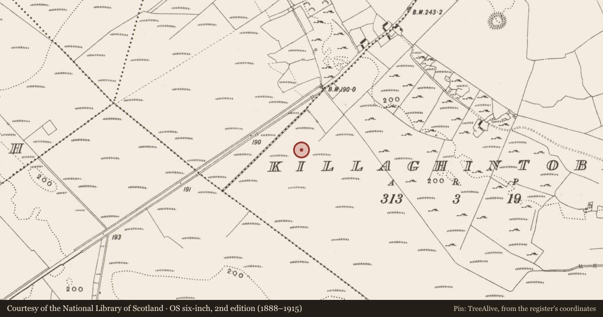 Ordnance Survey six-inch map, 2nd edition (1888–1915) covering the location of Structure - peatland, Killaghintober, County Offaly, with a pin at the register's coordinates