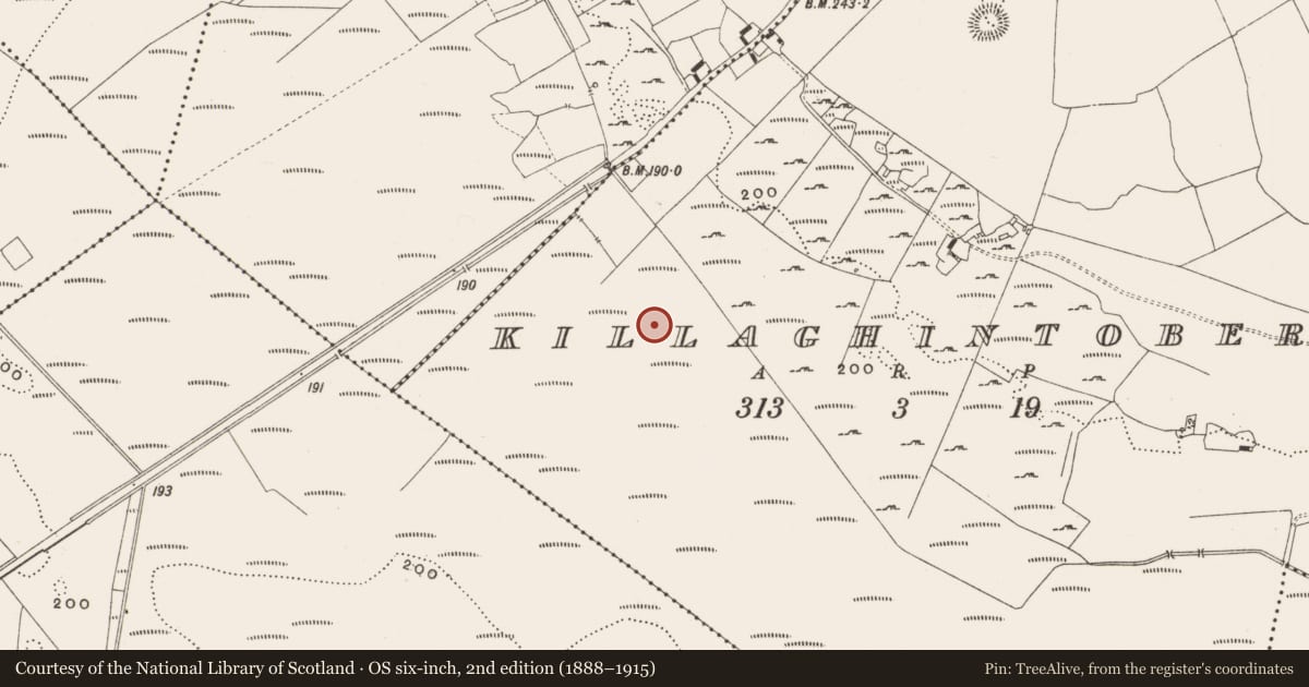 Ordnance Survey six-inch map, 2nd edition (1888–1915) covering the location of Structure - peatland, Killaghintober, County Offaly, with a pin at the register's coordinates