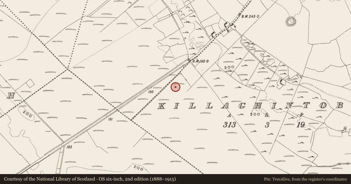 Ordnance Survey six-inch map, 2nd edition (1888–1915) covering the location of Structure - peatland, Killaghintober, County Offaly, with a pin at the register's coordinates