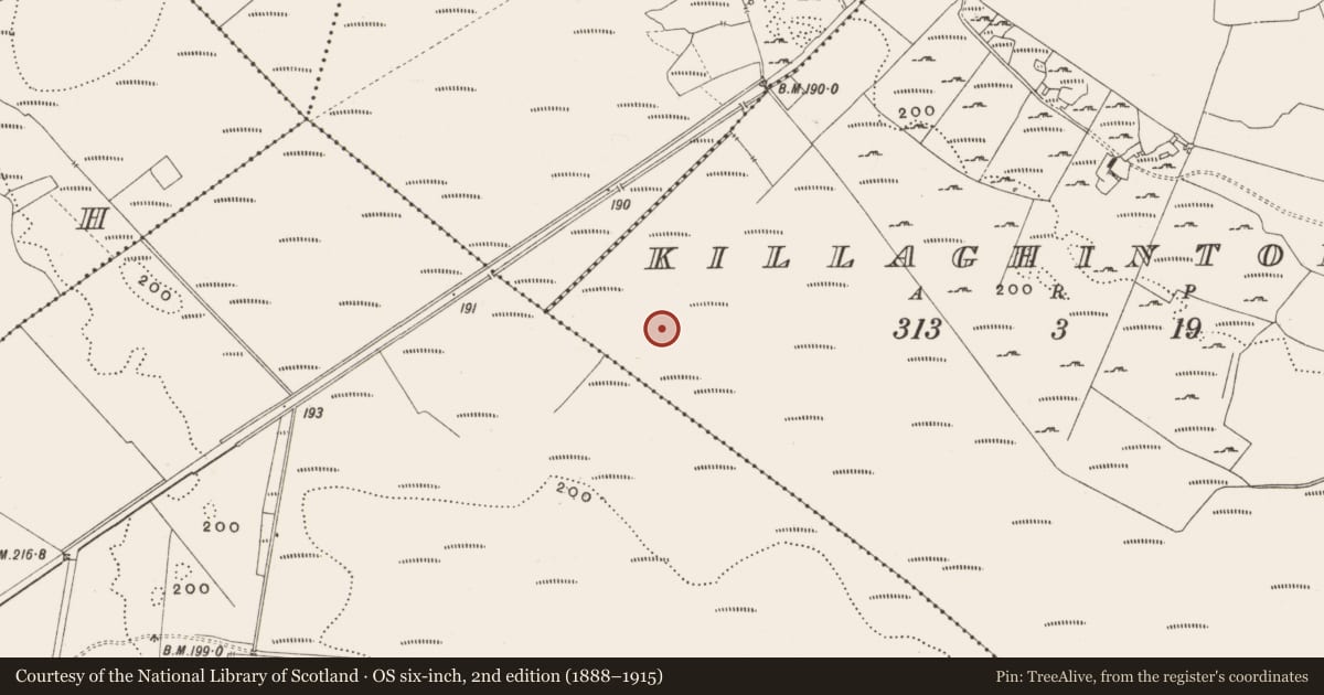 Ordnance Survey six-inch map, 2nd edition (1888–1915) covering the location of Structure - peatland, Killaghintober, County Offaly, with a pin at the register's coordinates