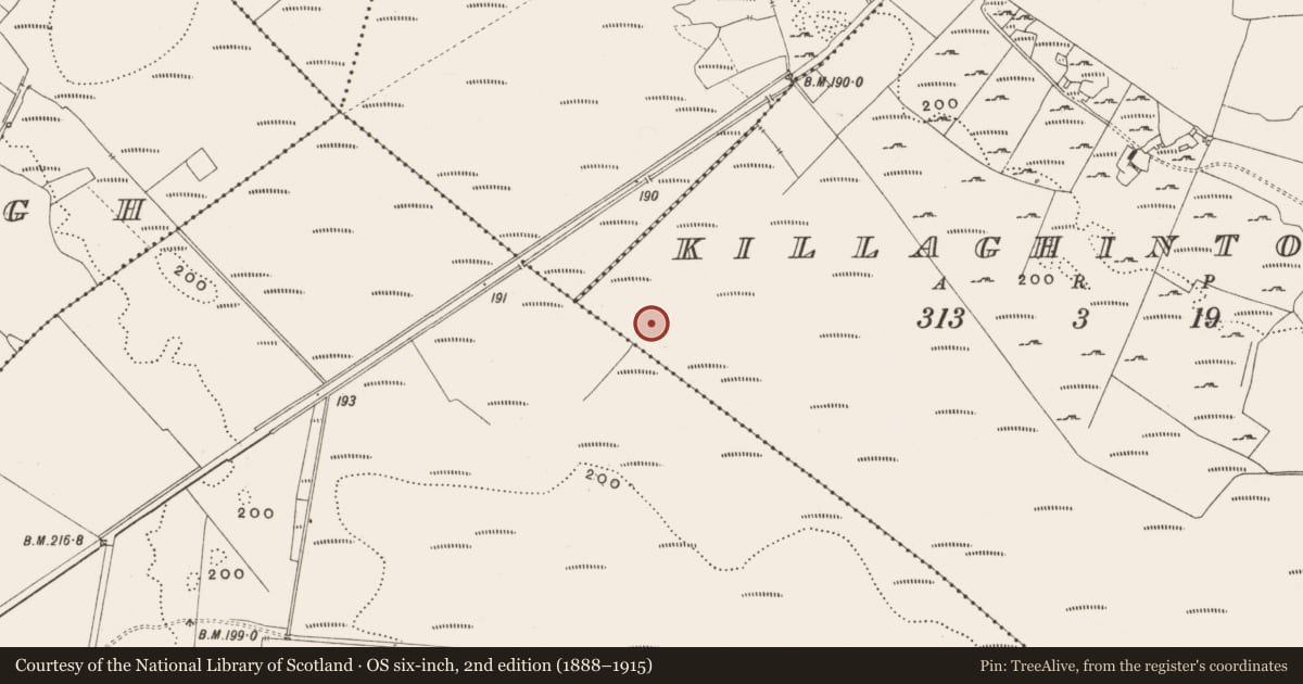 Ordnance Survey six-inch map, 2nd edition (1888–1915) covering the location of Structure - peatland, Killaghintober, County Offaly, with a pin at the register's coordinates
