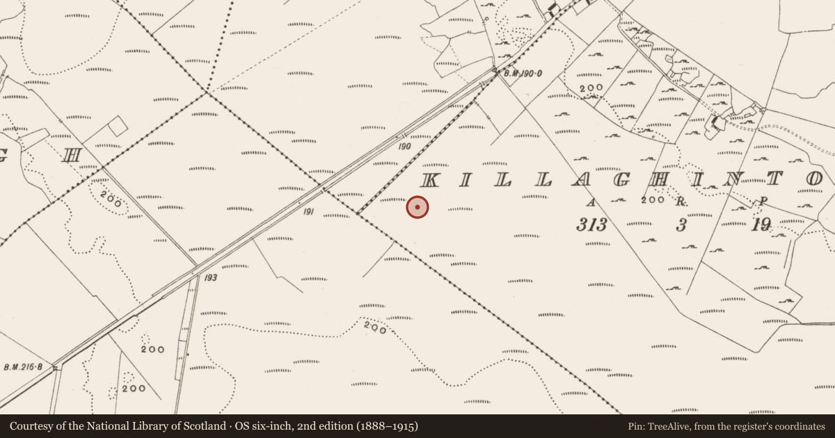 Ordnance Survey six-inch map, 2nd edition (1888–1915) covering the location of Structure - peatland, Killaghintober, County Offaly, with a pin at the register's coordinates