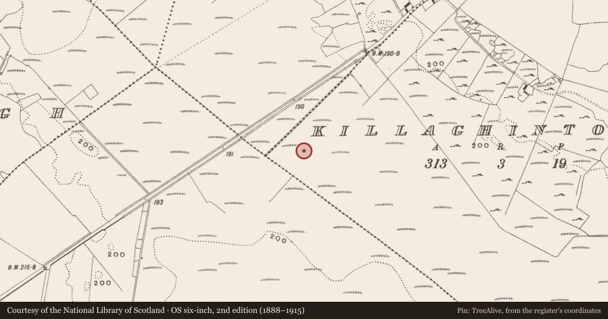 Ordnance Survey six-inch map, 2nd edition (1888–1915) covering the location of Structure - peatland, Killaghintober, County Offaly, with a pin at the register's coordinates